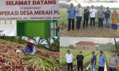berita-pilihan-foto